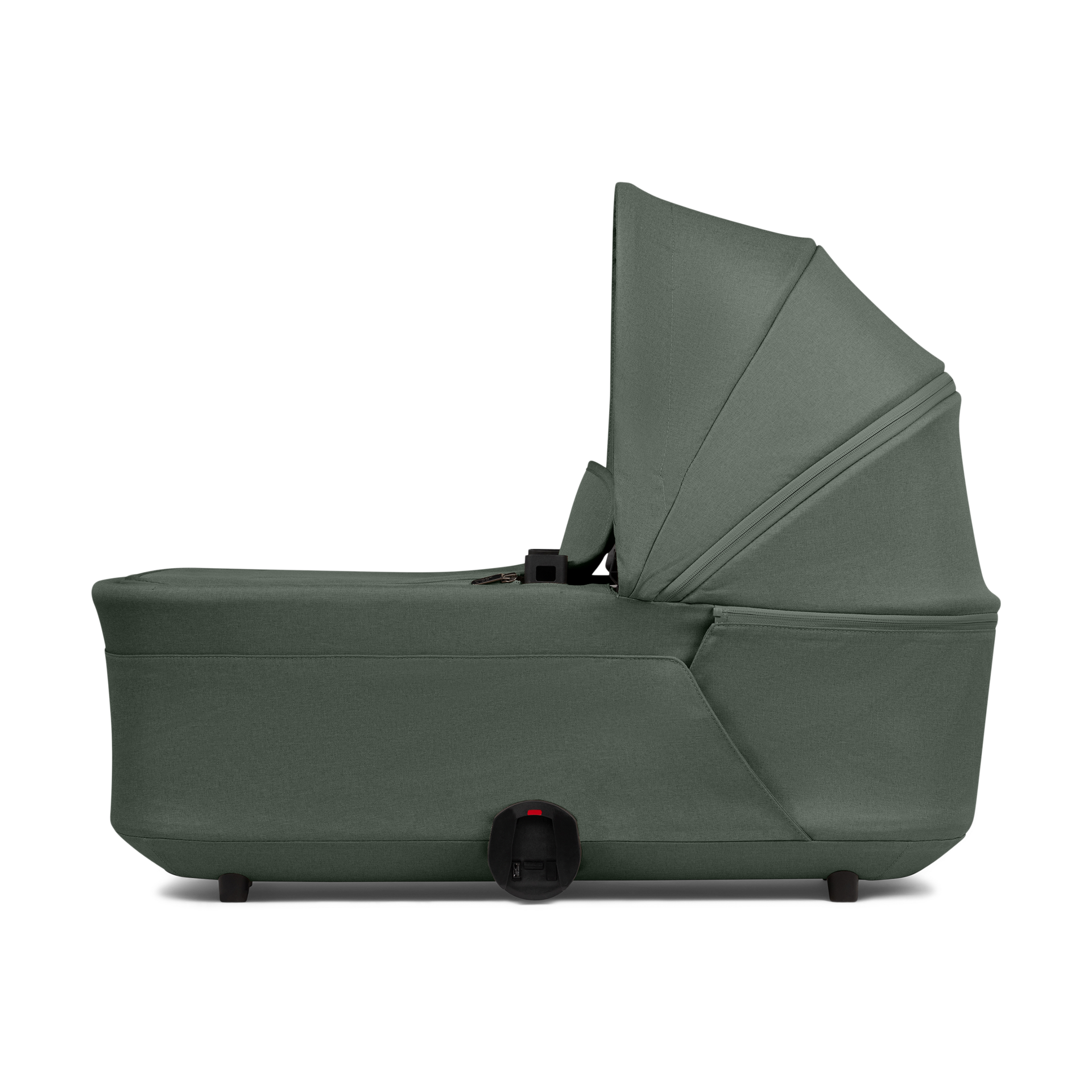 Thumbnail of Forest Green