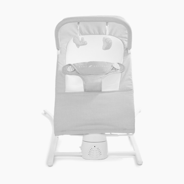Baby Delight Alpine Wave Deluxe Bouncer.
