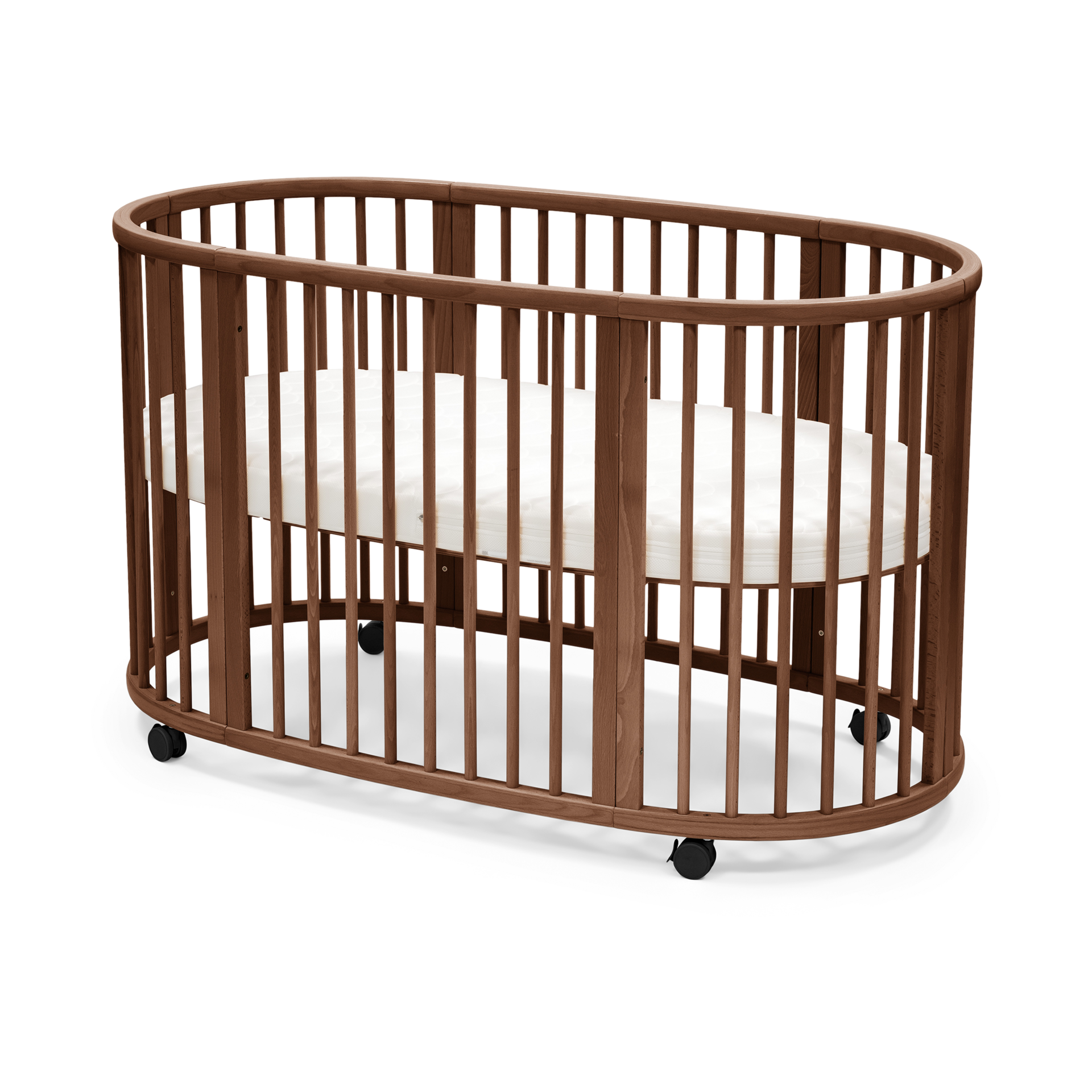 Thumbnail of Warm Brown/White