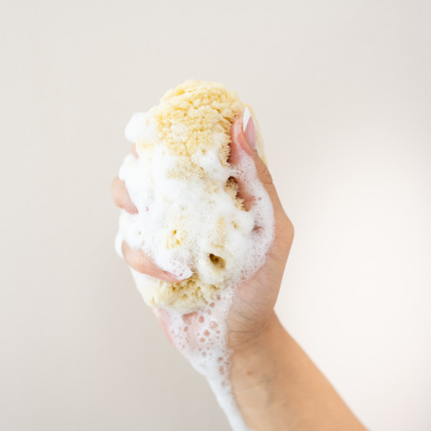 Kyte Baby Sea Sponge.