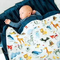 ABC Zoo Plush Blanket | Minky Couture