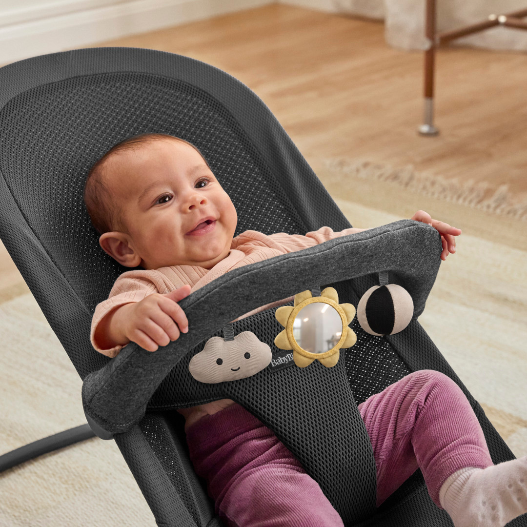 BabyBjörn Toy for Bouncer - Sunny Friends.