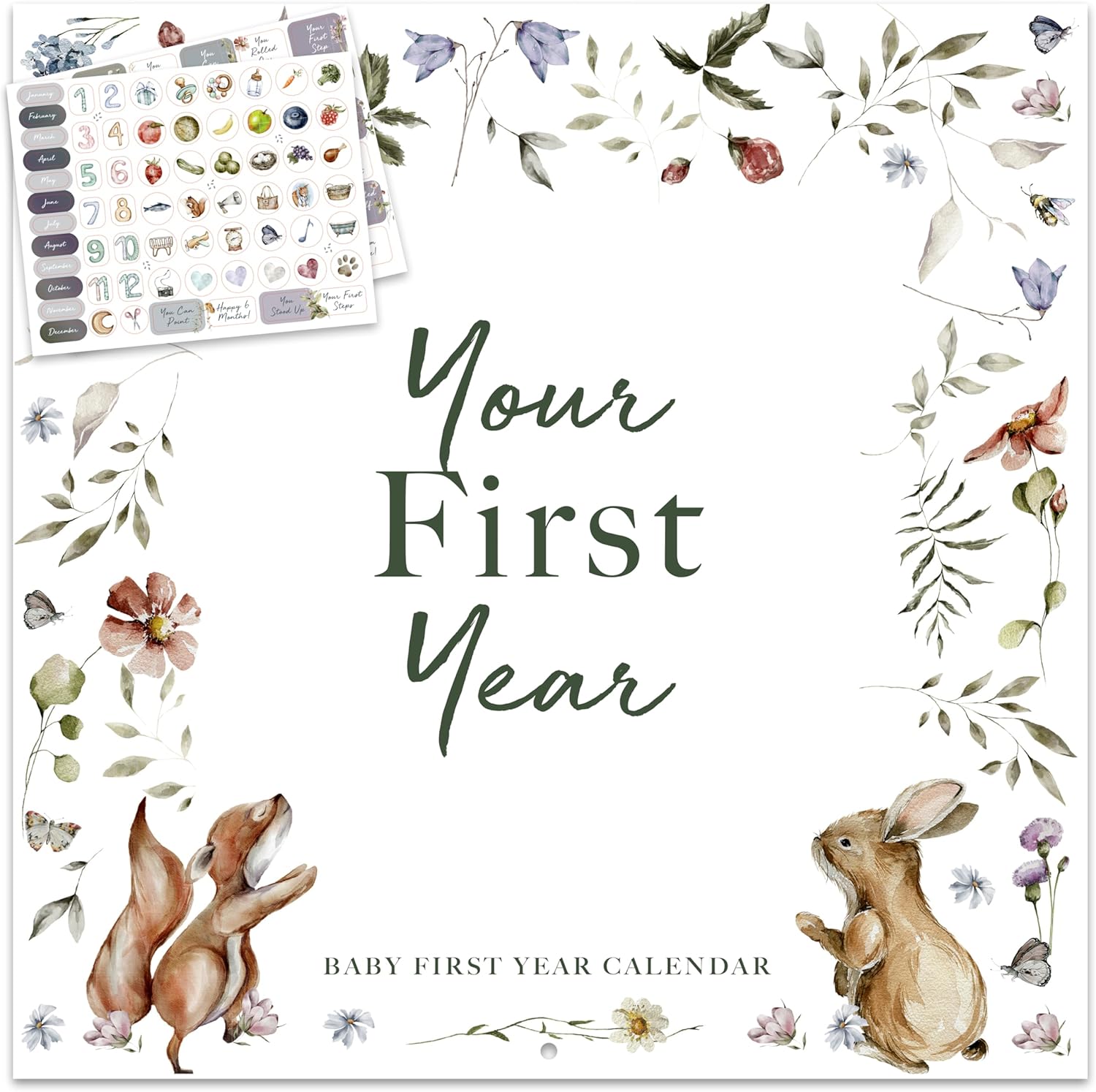 Baby's First Year Memory & 1st Year Calendar.