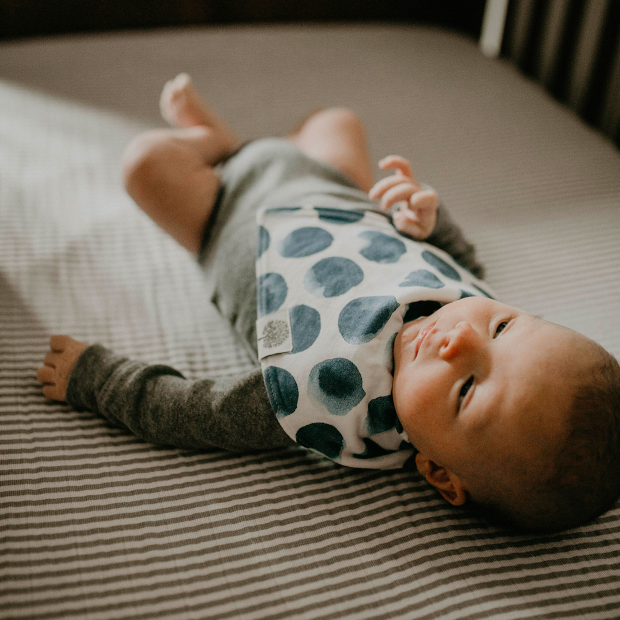 Parker Baby Co. Bandana Bib Set (8-Pack) - Arctic Set.