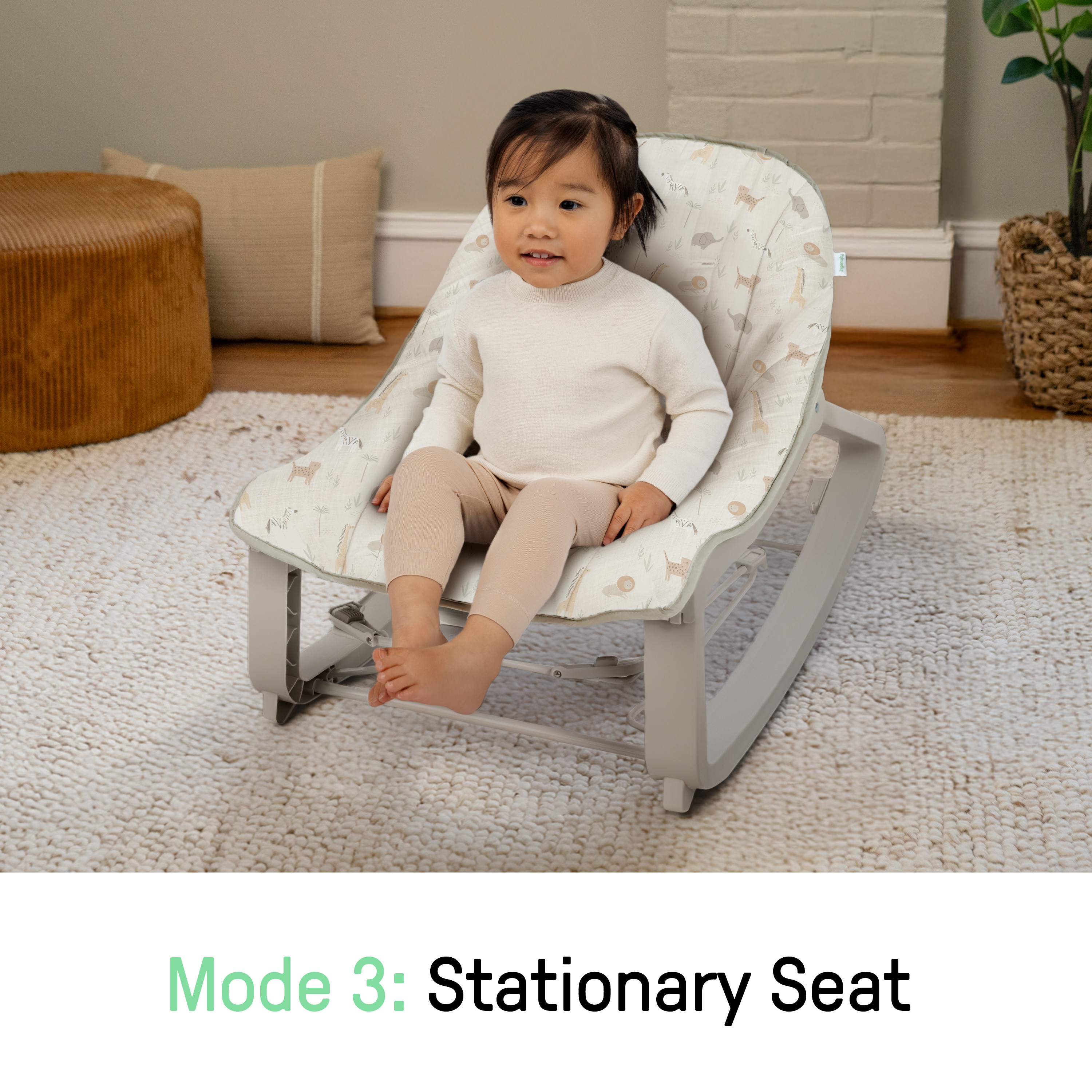 Product Image 5.