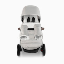 Thumbnail of Savannah