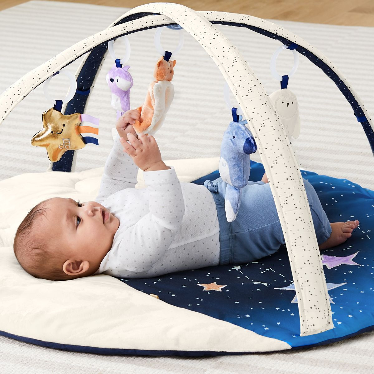 Skip Hop Celestial Dreams Activity Gym.