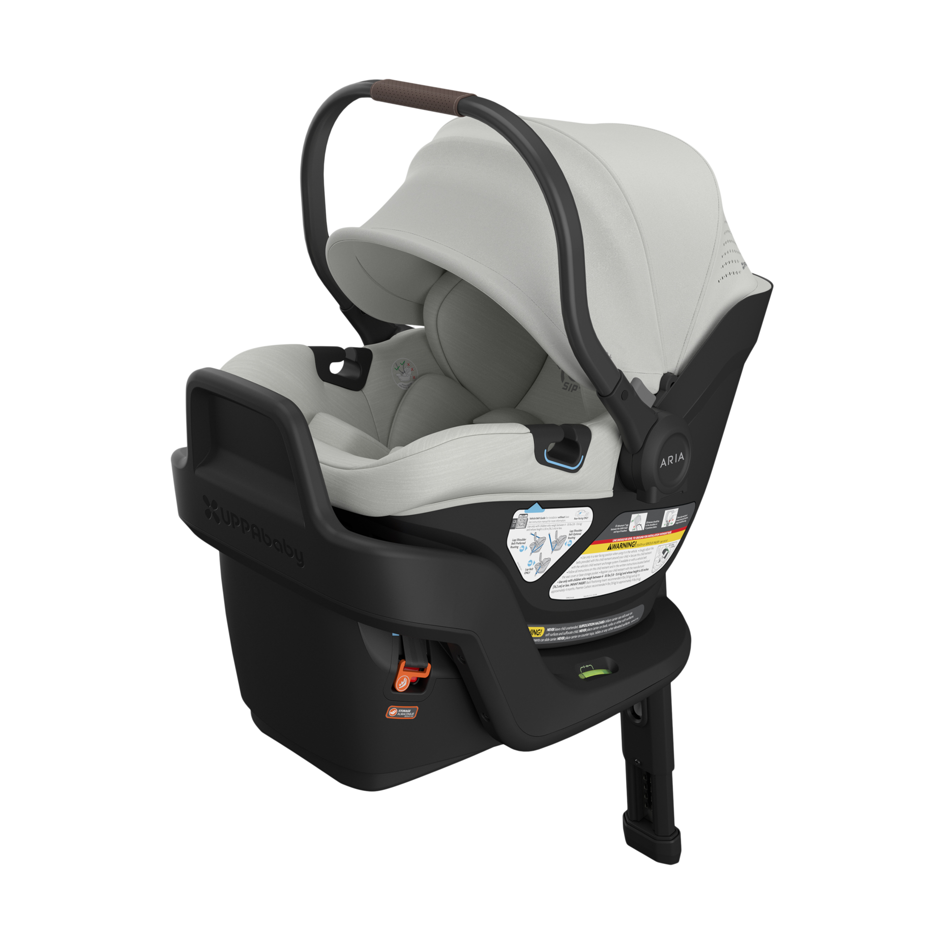 Thumbnail of Savannah