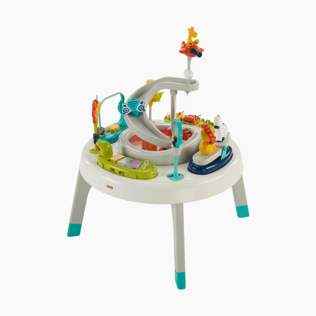 Fisher-Price 2-In-1 Sit-To-Stand Activity Center.