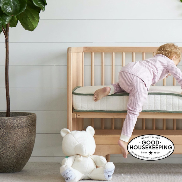 Avocado Avocado Organic Crib Mattress.
