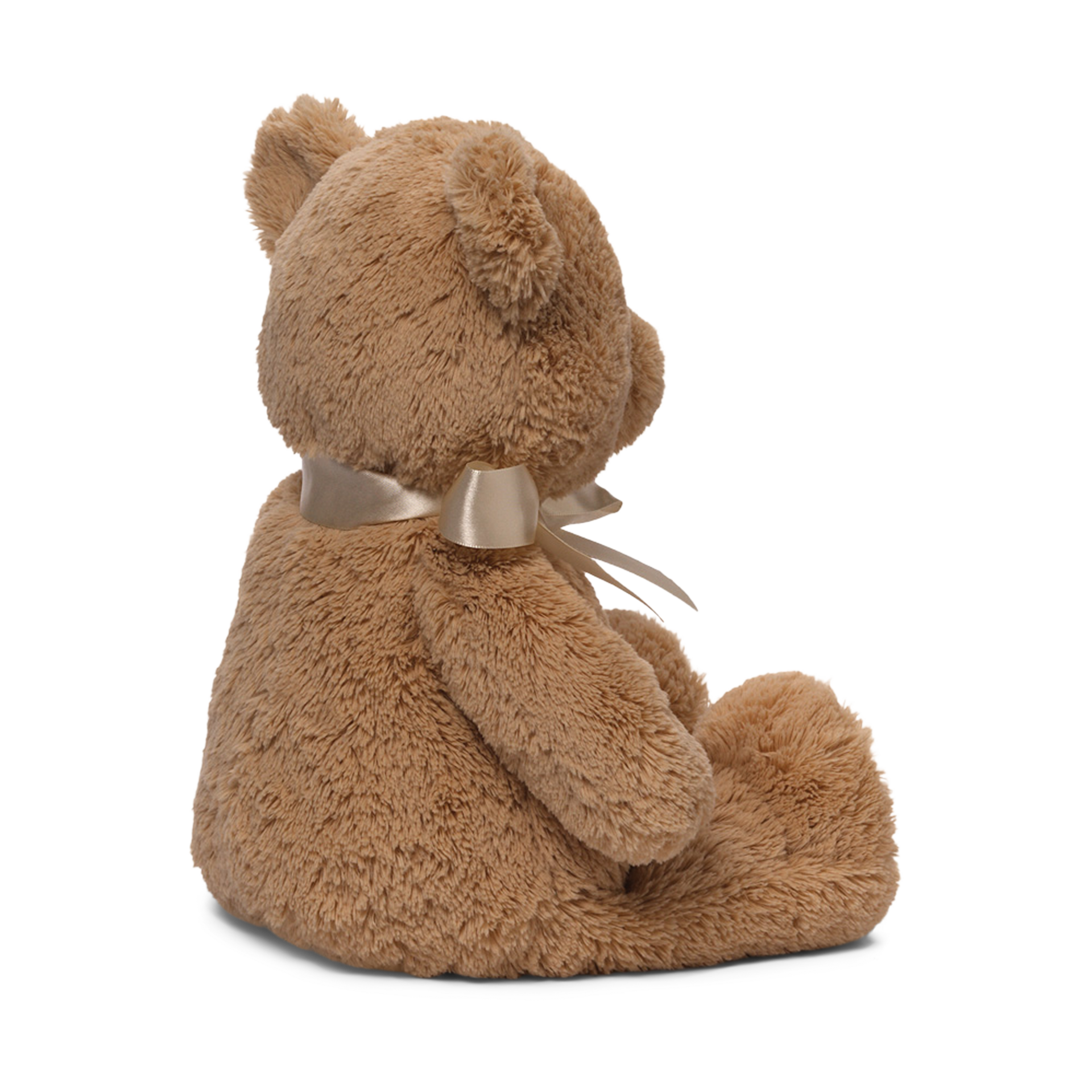 Gund My First Teddy Bear.