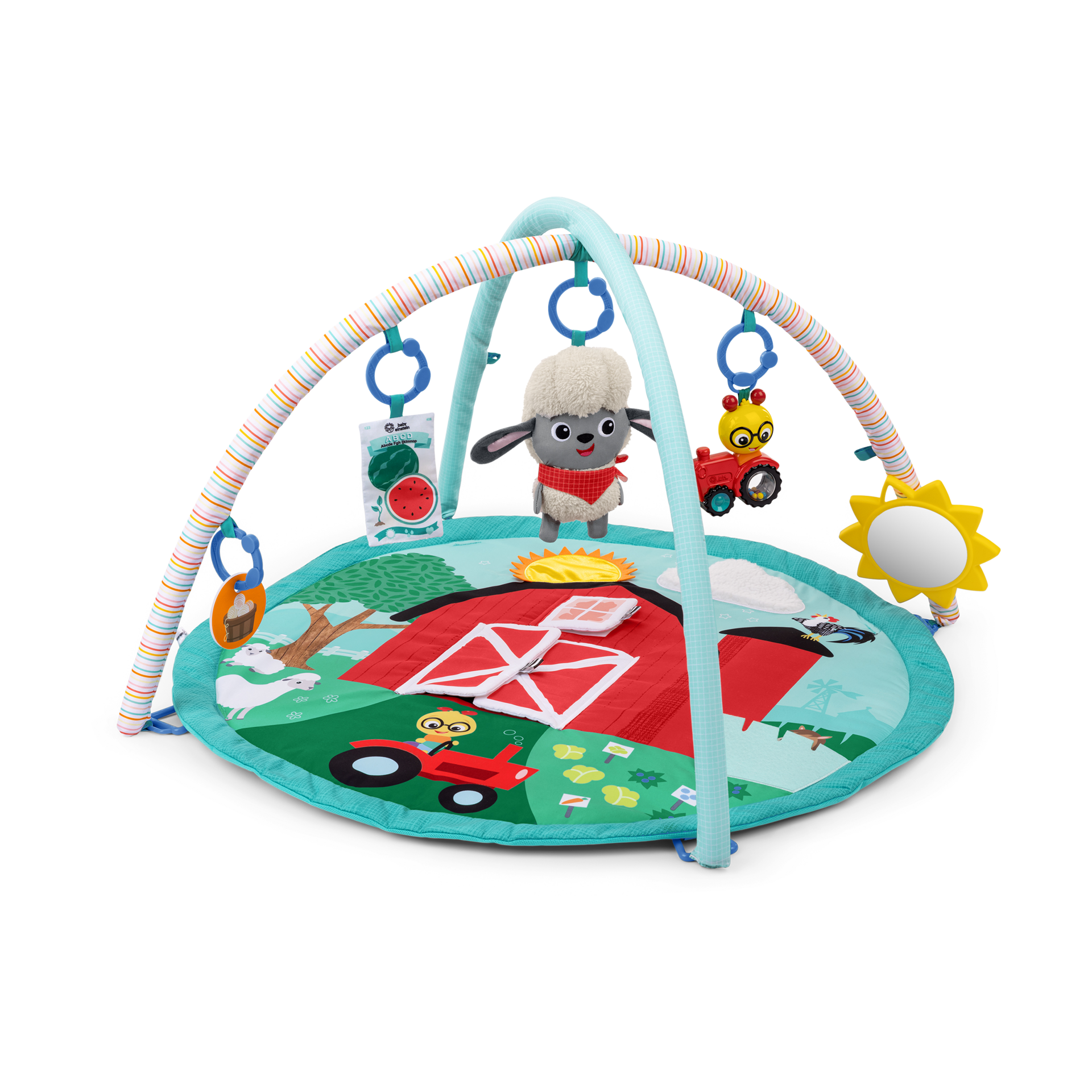 Baby Einstein Farm Explorers Happy Harvest Touch & Feel Activity Gym.