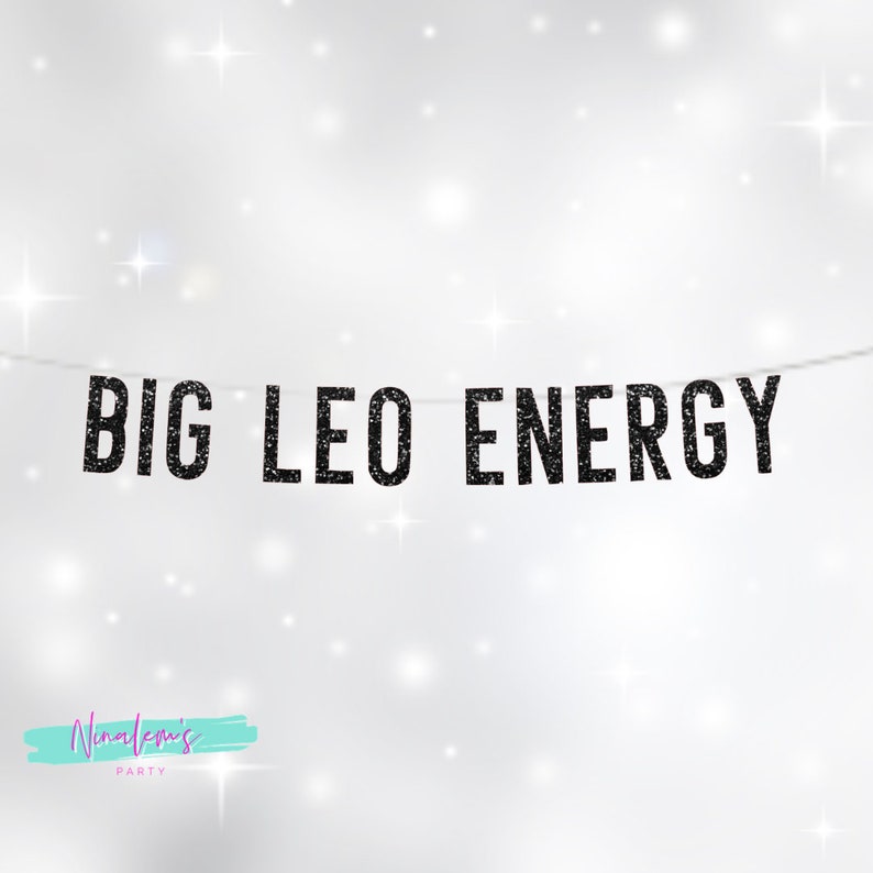  Big Zodiac Energy Banner.