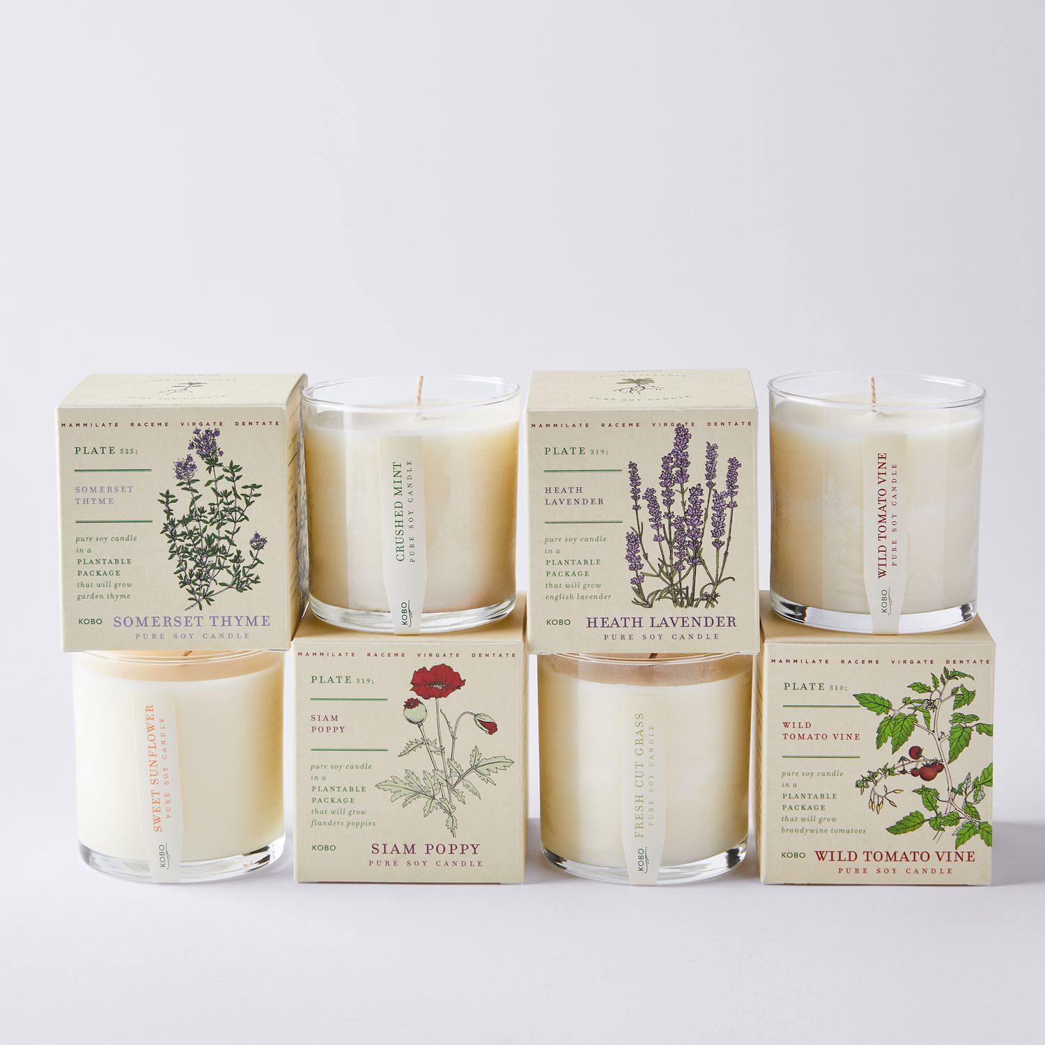 Kobo Candles Plant the Box Scented Candles.