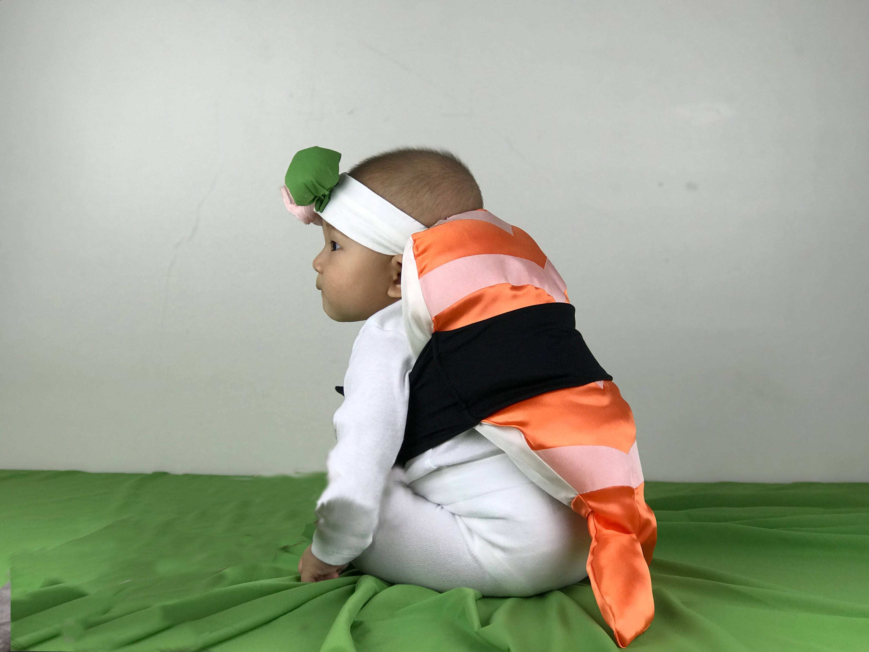 Pui Pui Design Shrimp Sushi Costume.