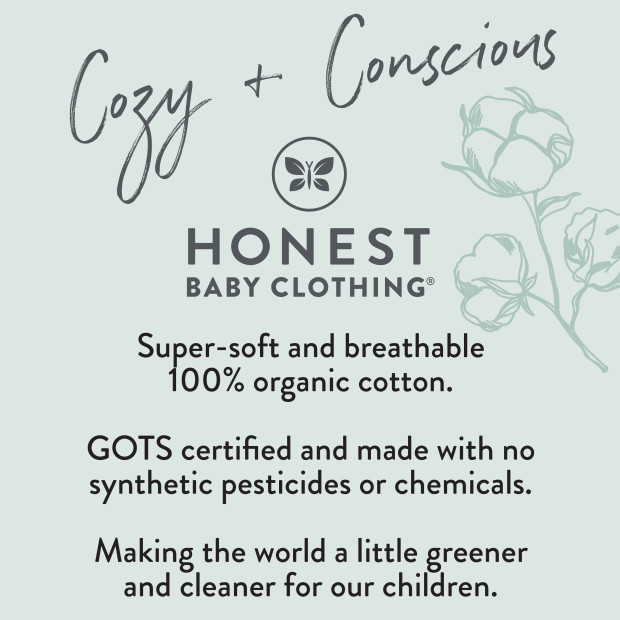 Honest Baby Clothing 10-Pack Organic Cotton Baby Terry Wash Cloths - Heather Grey, Os.