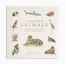 Any and All Books for Baby