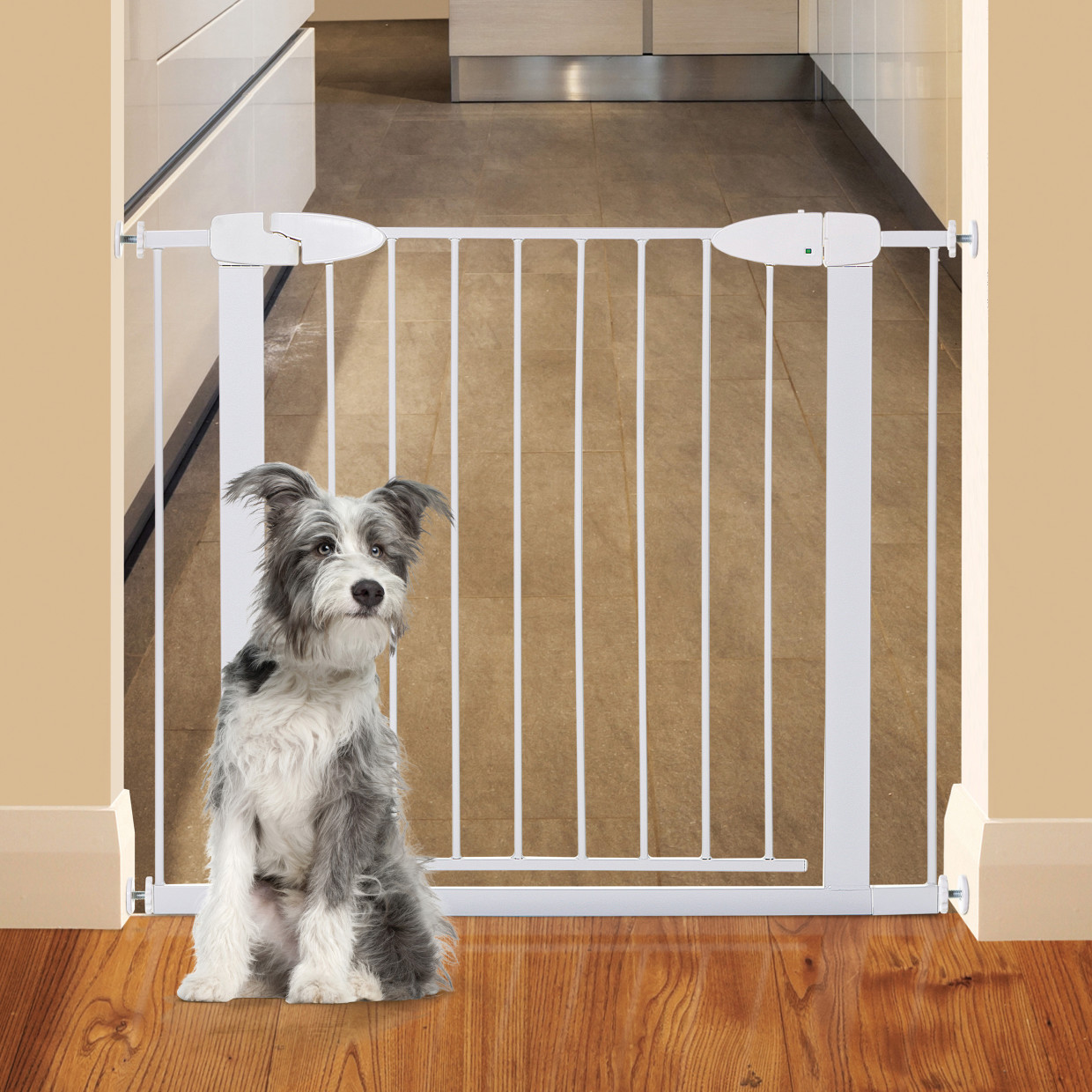 Dreambaby Boston Magnetic Auto Close Security Gate - White.