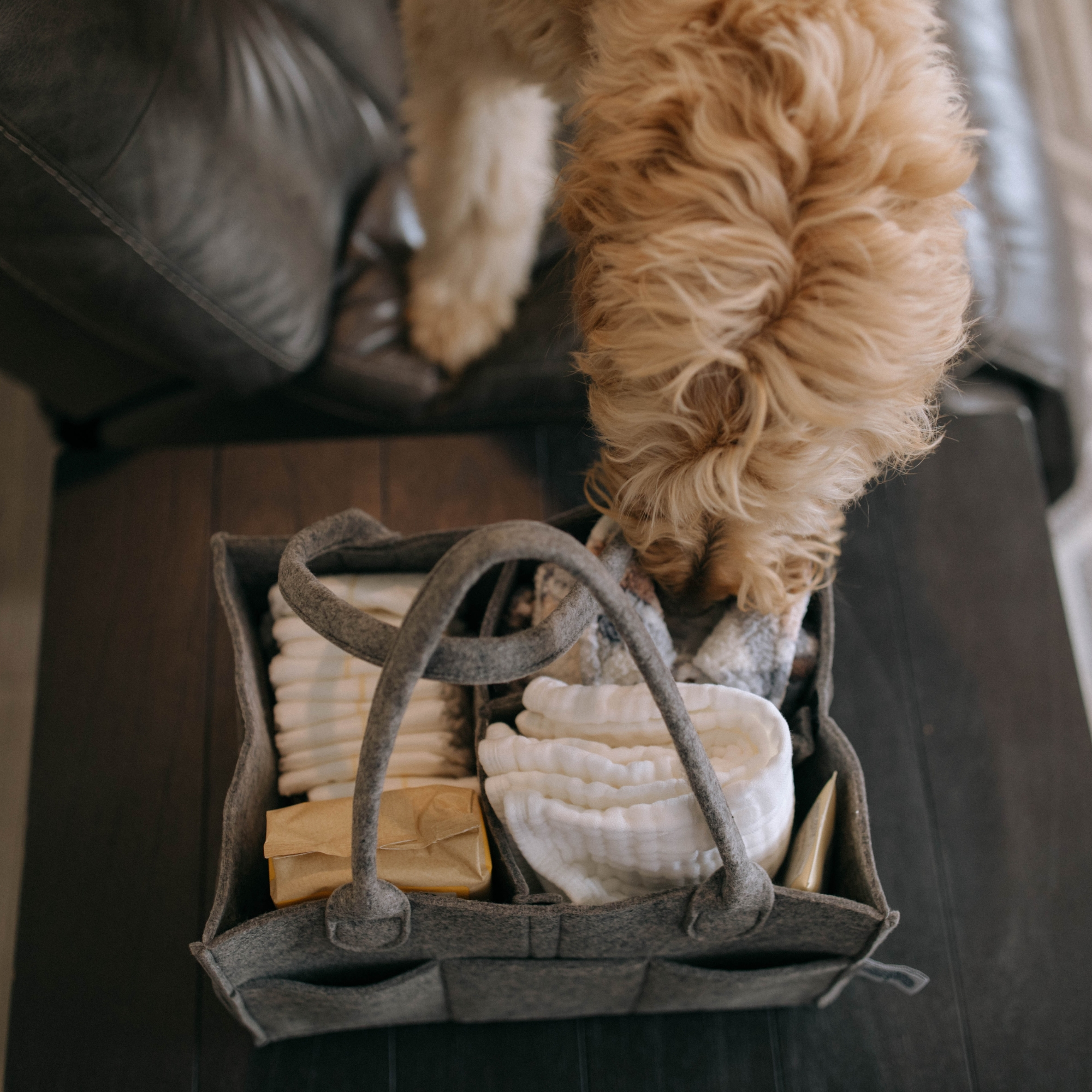 Parker Baby Co. Diaper Caddy - Peppercorn, Regular.