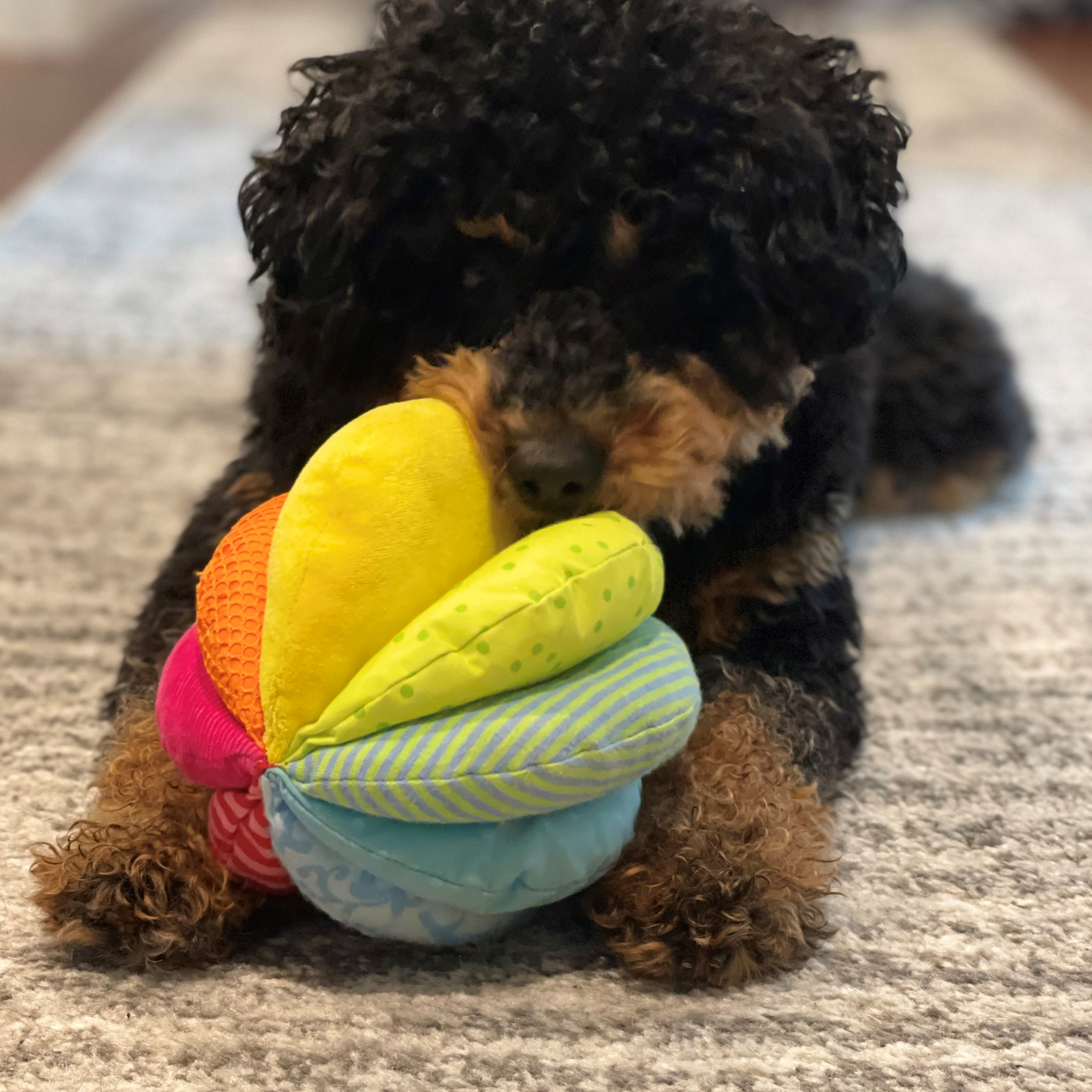 HABA Rainbow Fabric Ball.