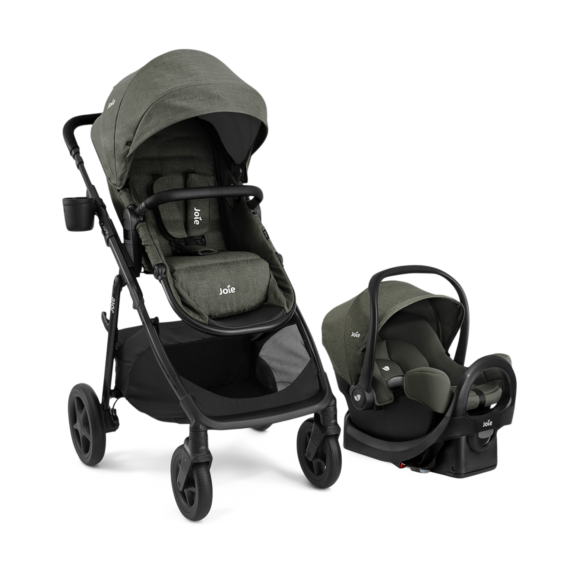 Thumbnail of Evergreen