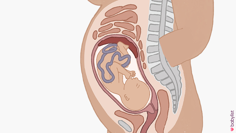 Pregnancy-Ultrasound-week-31