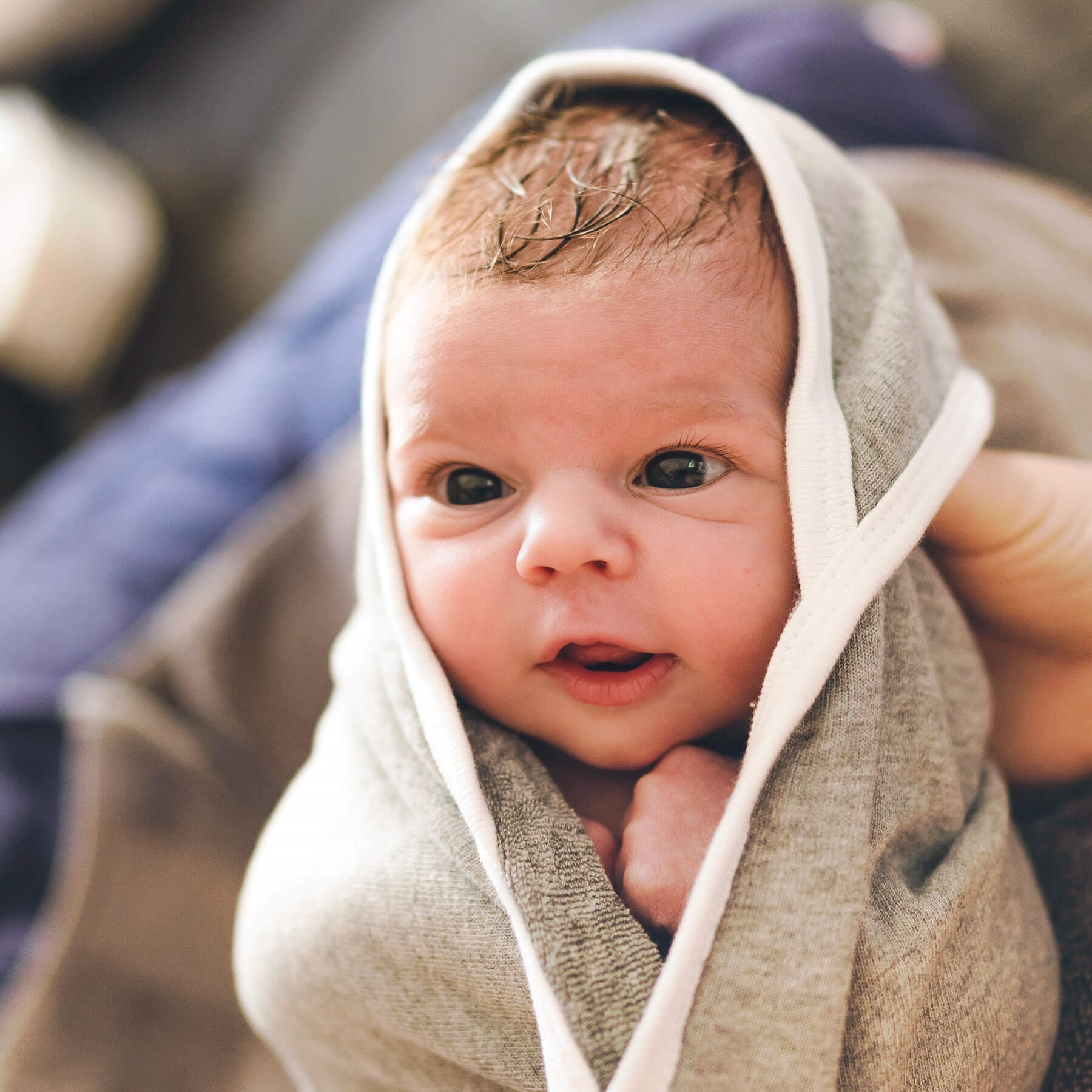 Burt's Bees Baby Organic Single Ply Hooded Towel Heather Grey