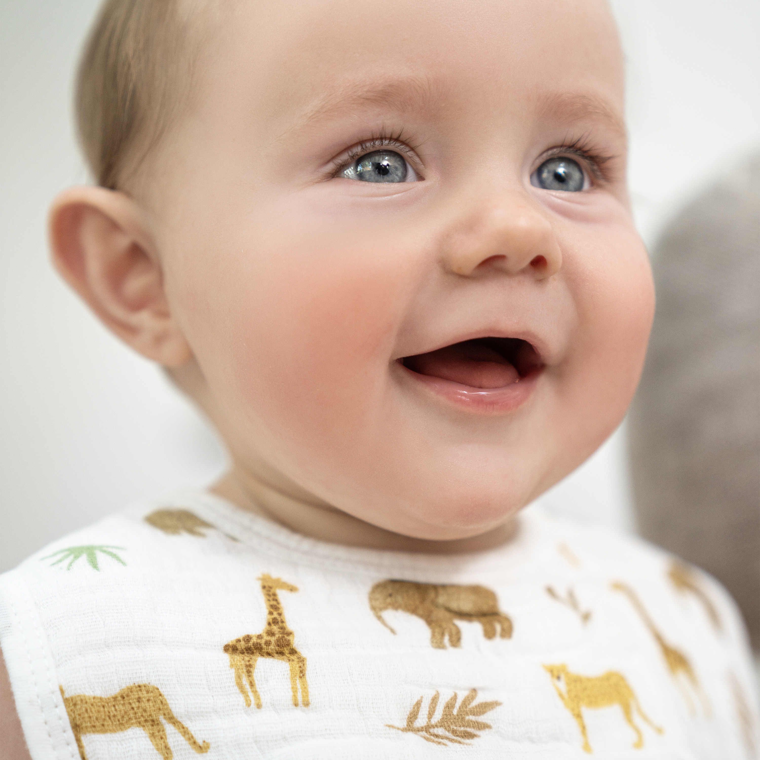 Aden + Anais Essentials Cotton Muslin Snap Bib (3 Pack) Tanzania