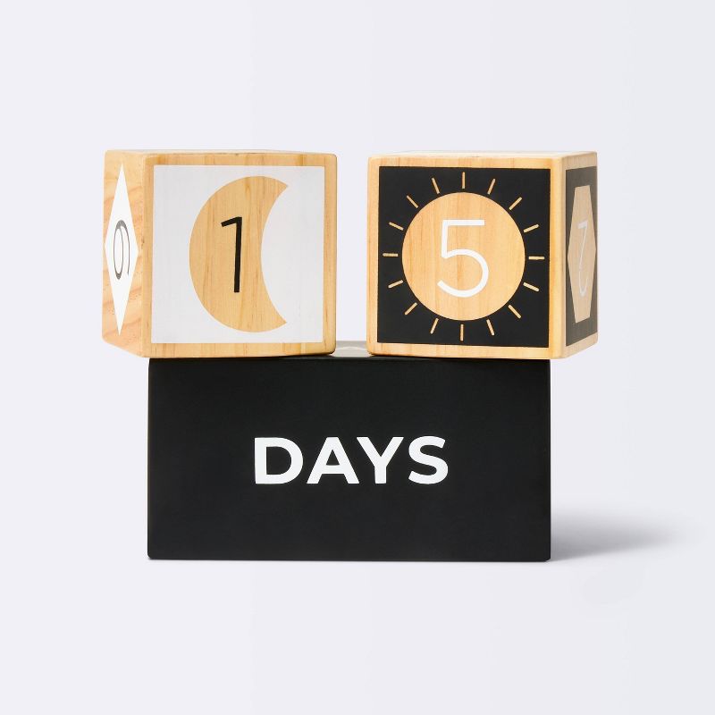 Cloud Island Black and White Milestone Blocks.