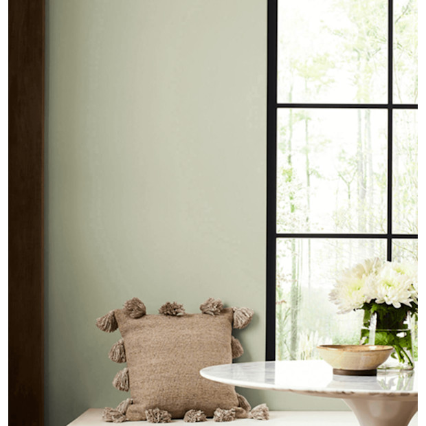 Sherwin Williams Softened Green Paint.