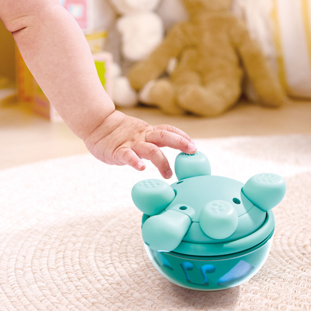Hape Twist & Tune Turtle.