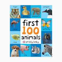 First 100 Big Board: Animals: In the bestselling First 100 series