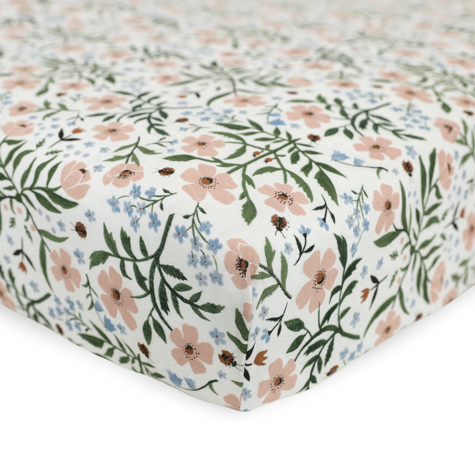 Thumbnail of Wild Rose