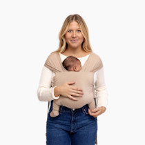 Thumbnail of Desert Lark