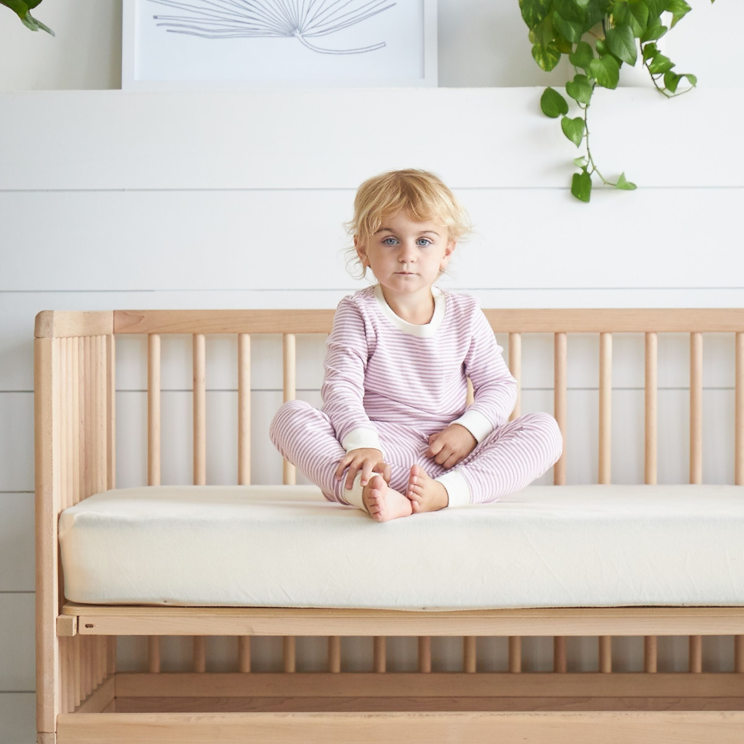 Product Image 3.