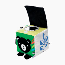 Thumbnail of Wimmer-Ferguson Learning Cube