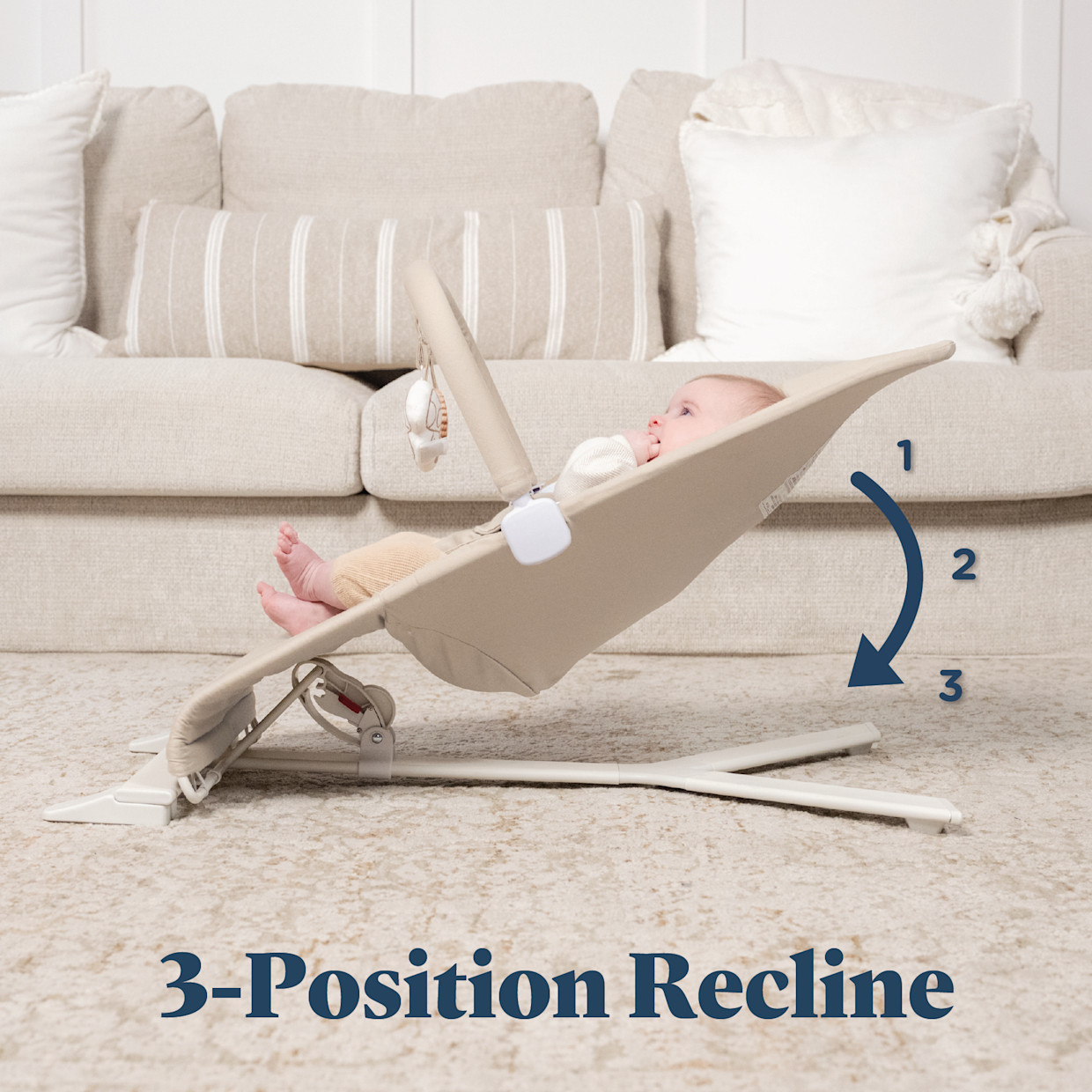 Baby Delight Alpine Organic Deluxe Portable Bouncer - Organic Sesame.