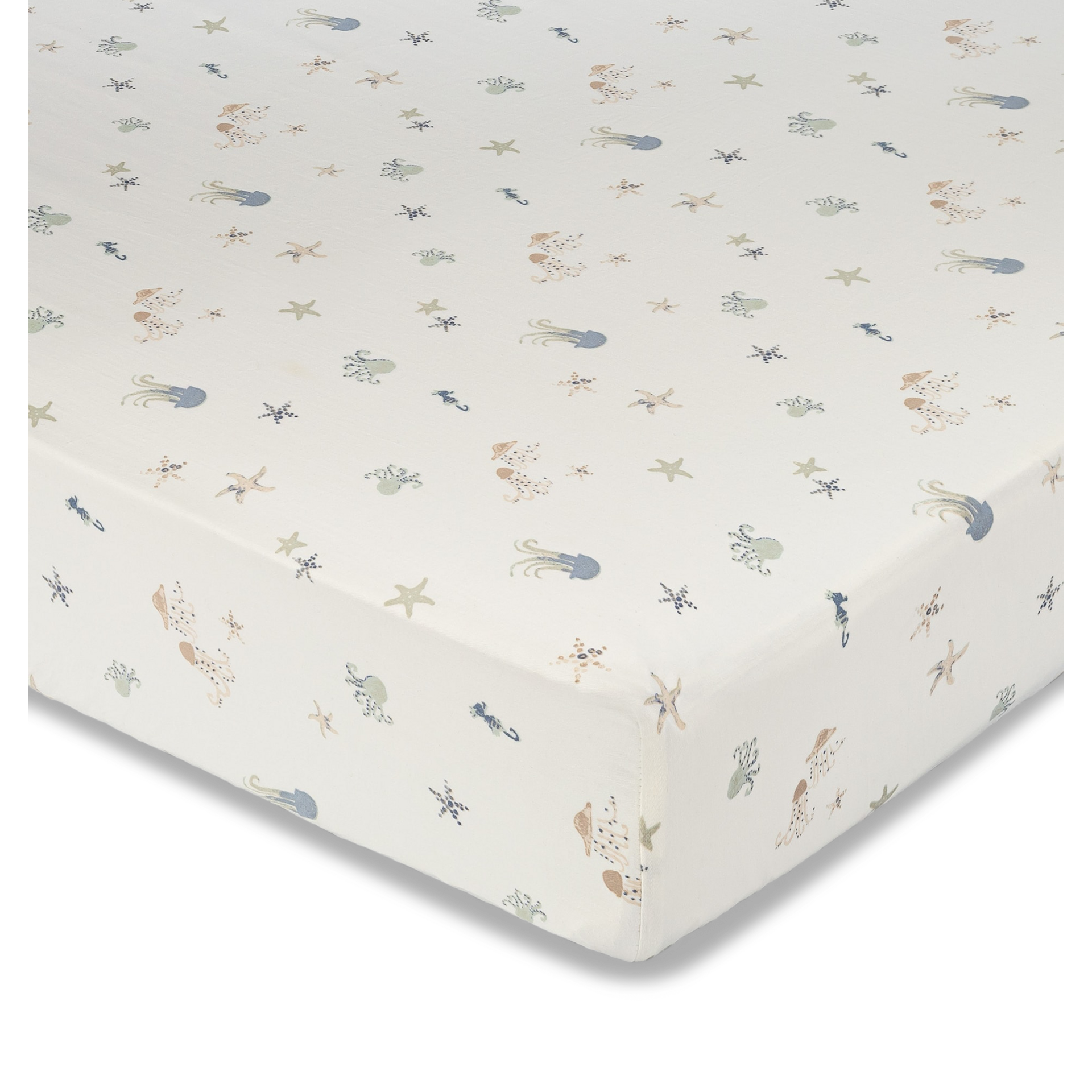 Thumbnail of Cove Sea Life