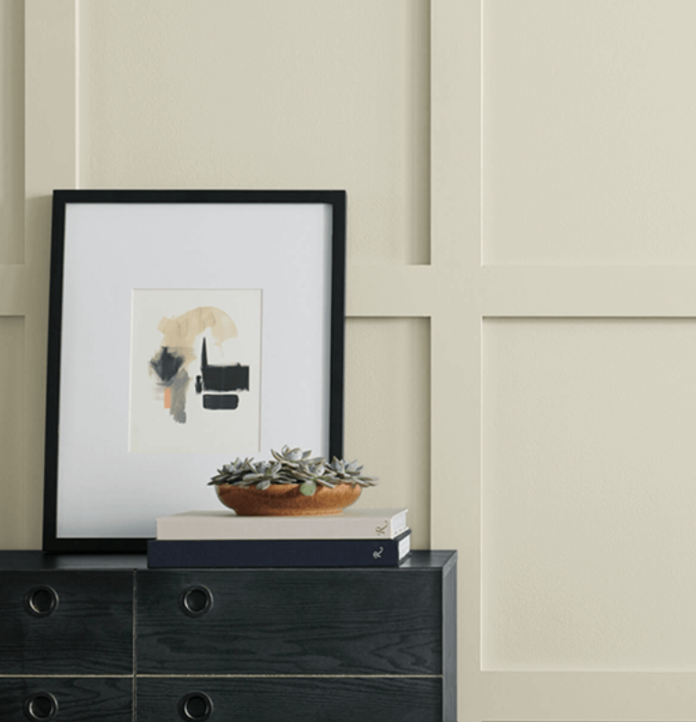 Sherwin Williams Ancient Marble Paint.