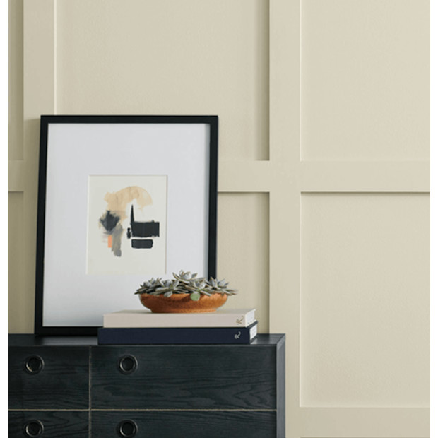 Sherwin Williams Ancient Marble Paint.