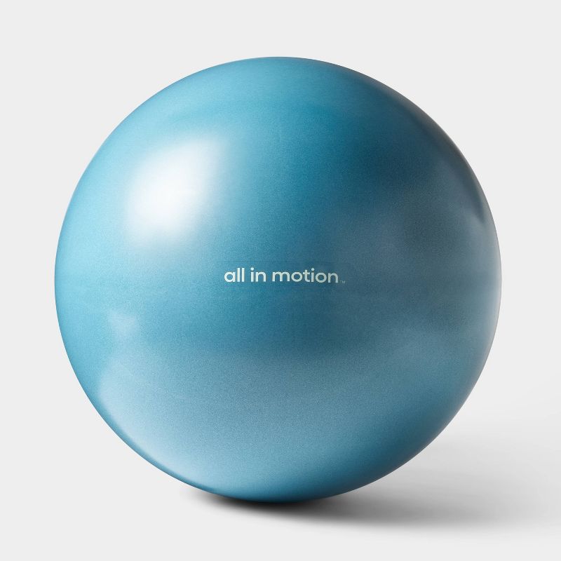 All in Motion Stability Exercise Ball.