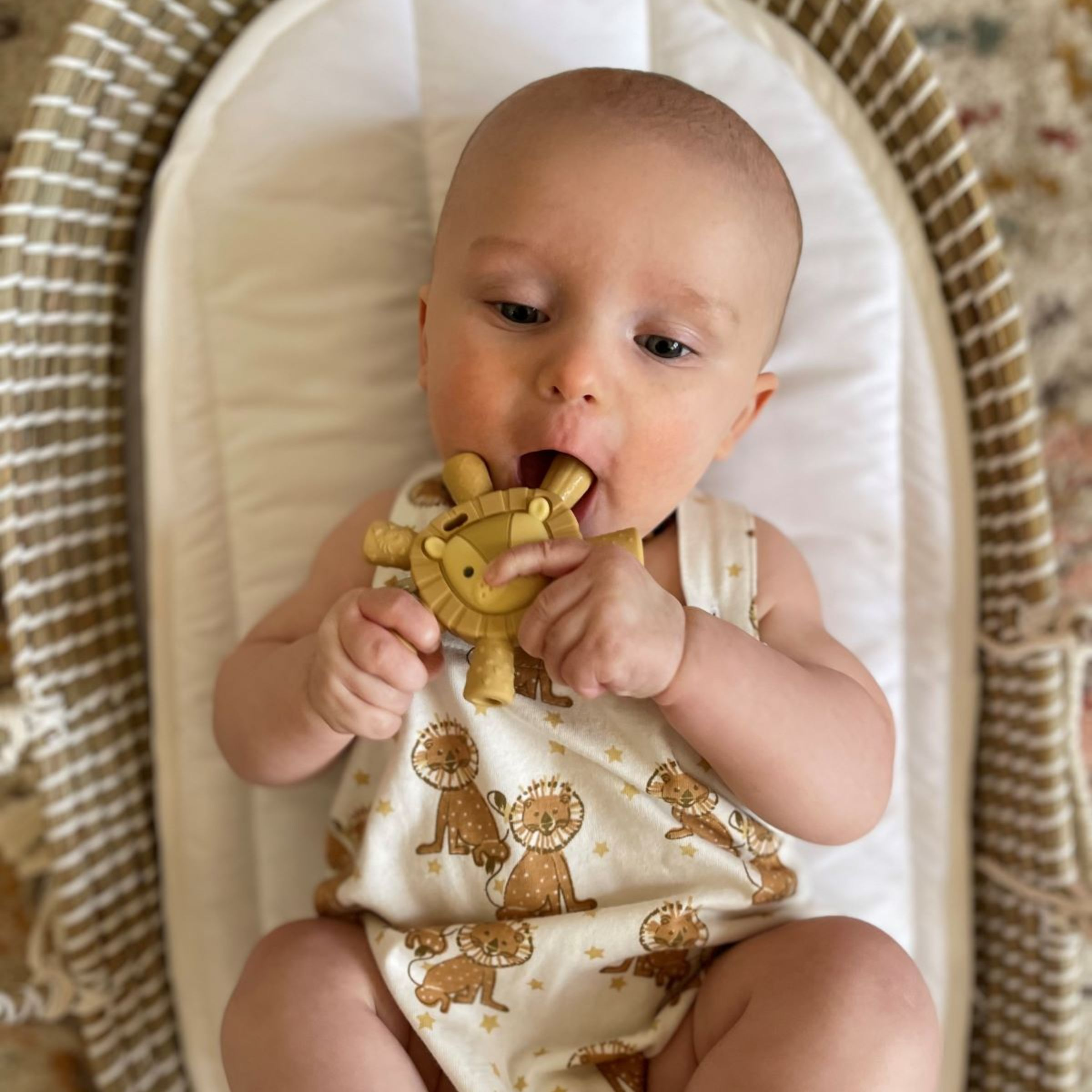 Itzy Ritzy Silicone Molar Teether - Lion.