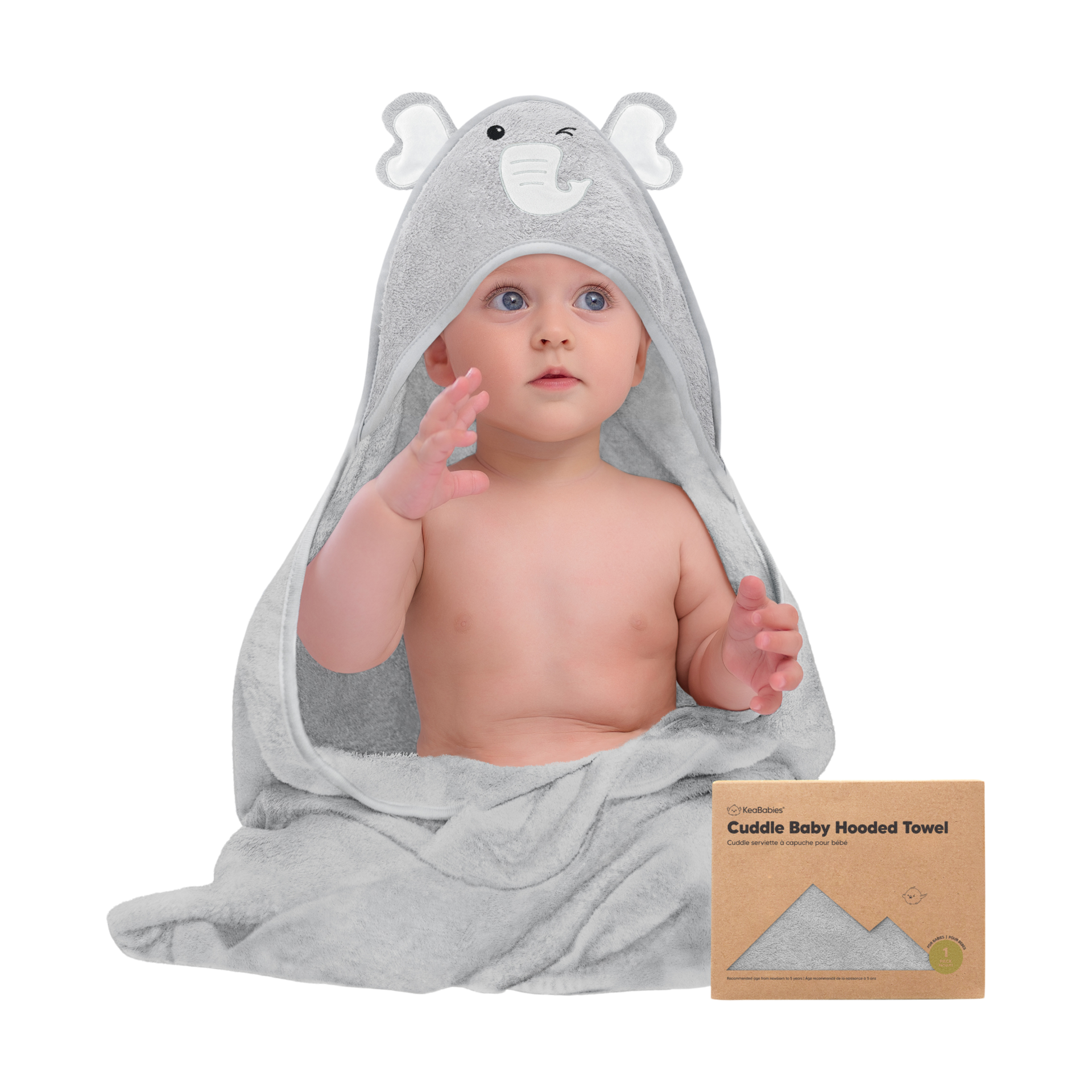 Thumbnail of Elephant