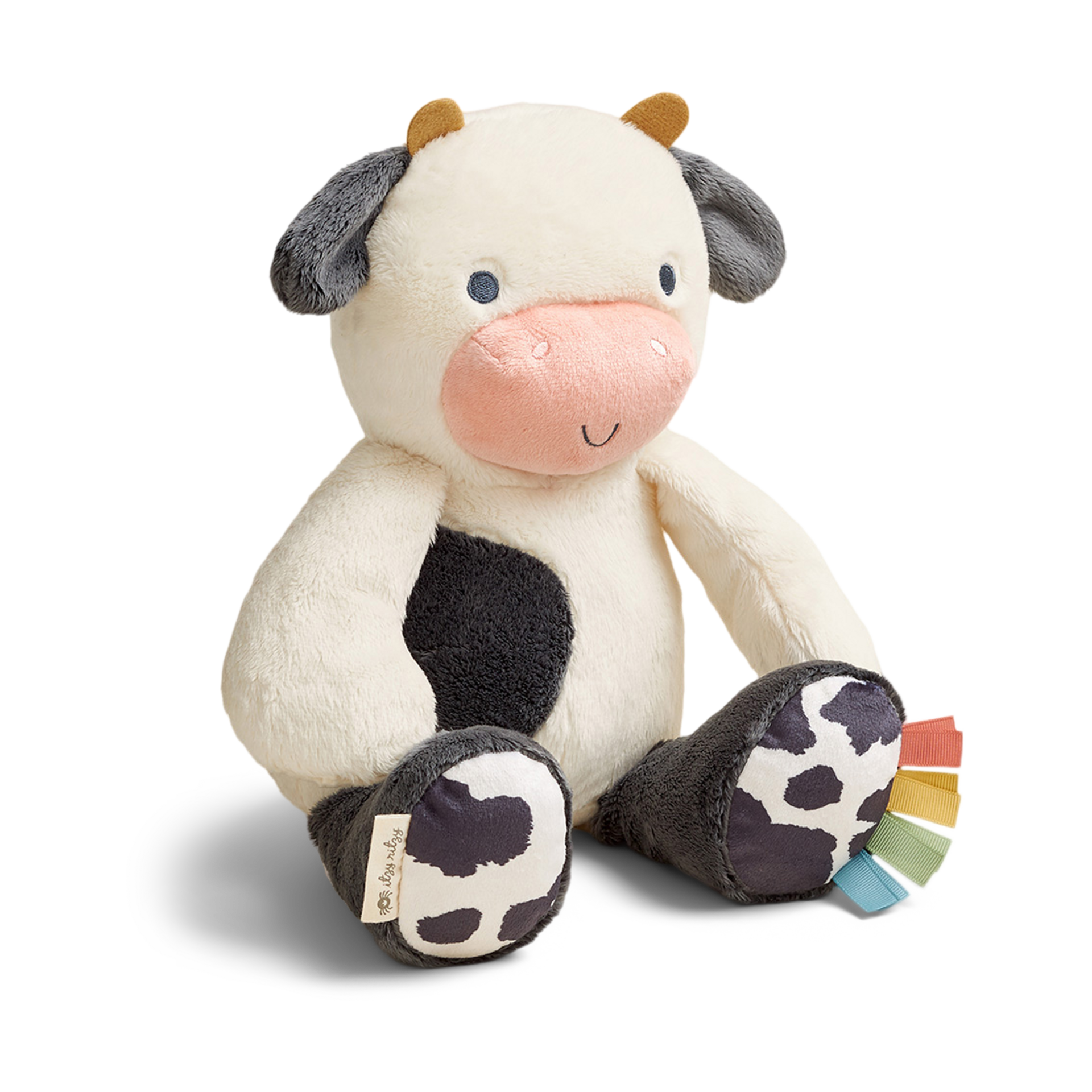 Thumbnail of Carmen The Cow