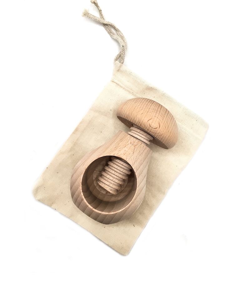 Simplytoplay Montessori Mushroom Screw Toy.