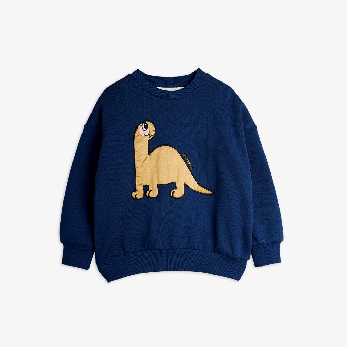 Dino Application Sweatshirt.