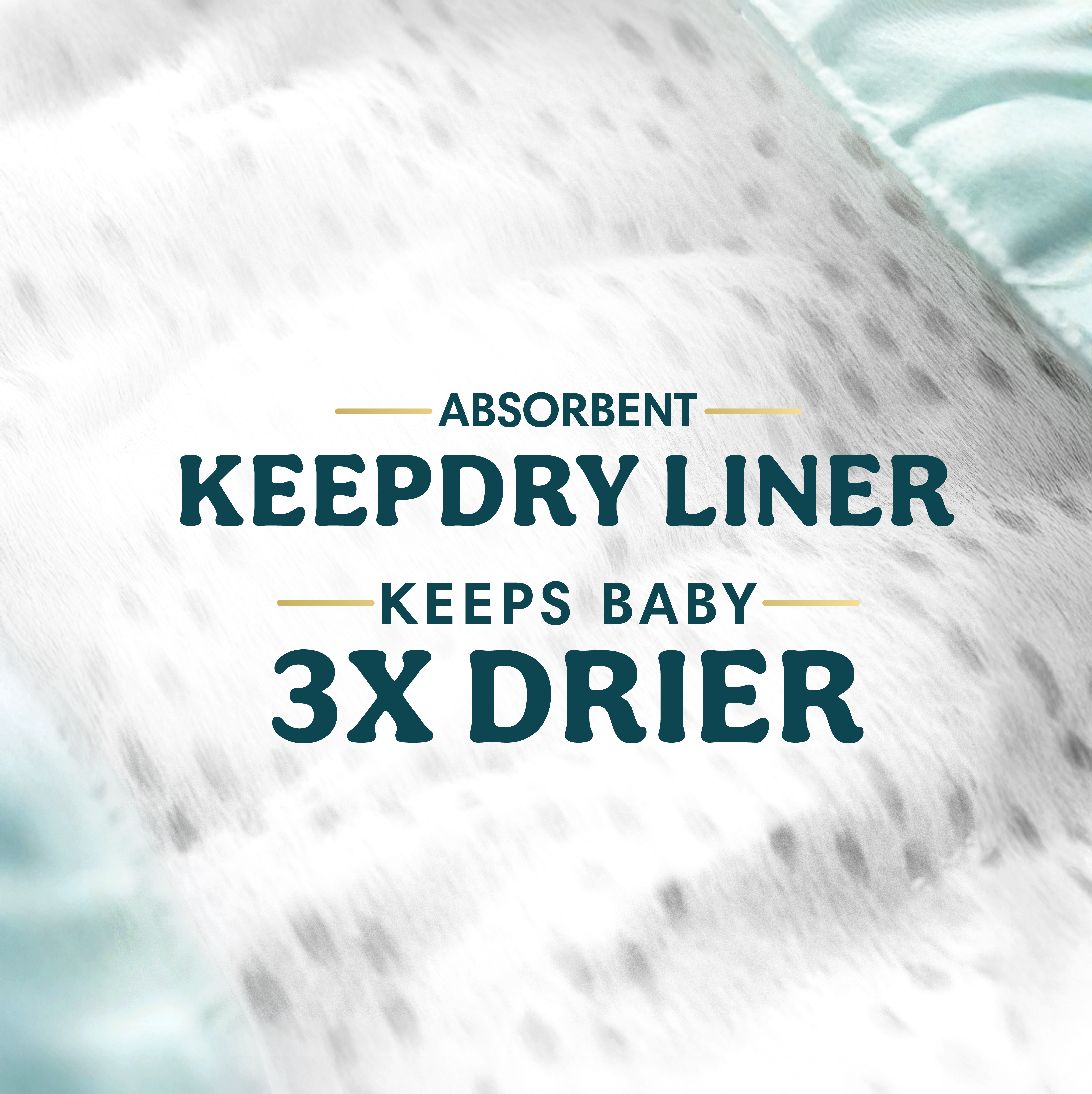 Product Image 7.