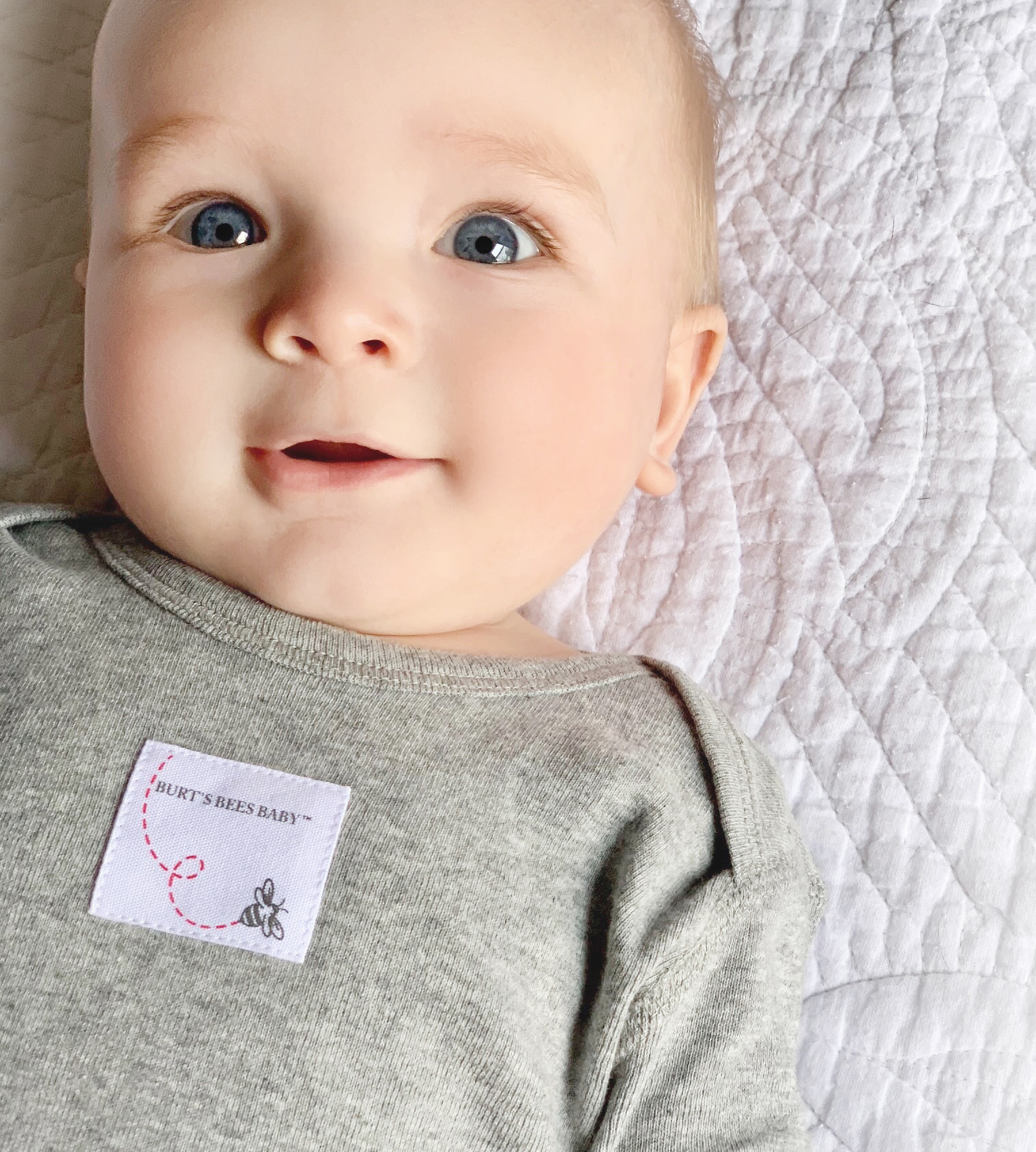 Burt's Bees Baby Organic Short Sleeve Bodysuit (5 Pack) Heather Grey