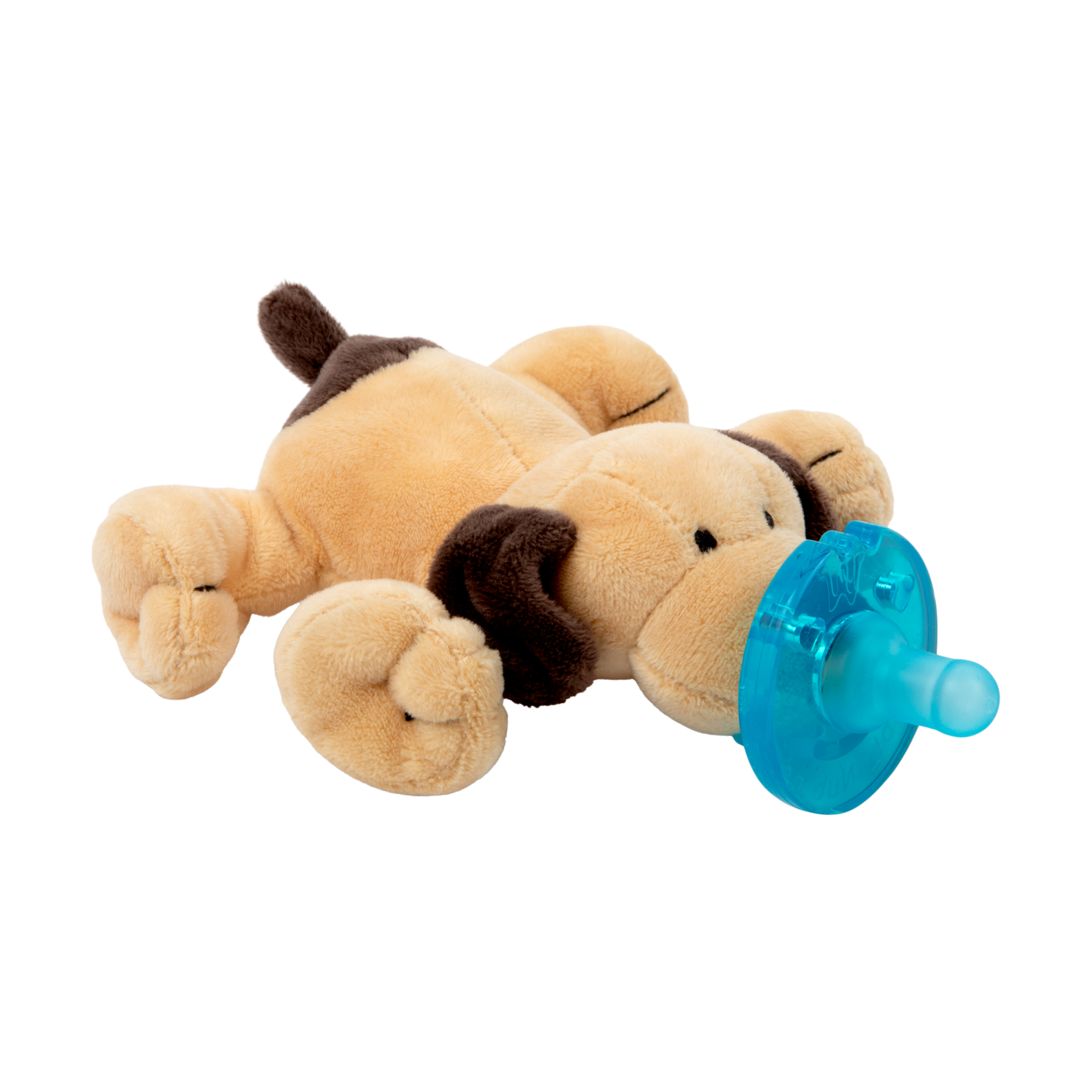 Thumbnail of Brown Puppy