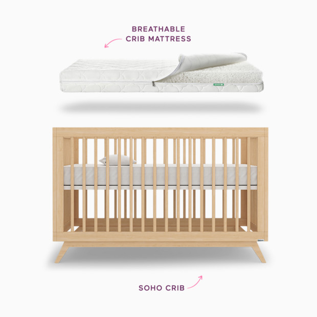 dadada x Newton Baby Soho Crib & Mattress Bundle.